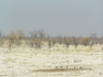 P9030129